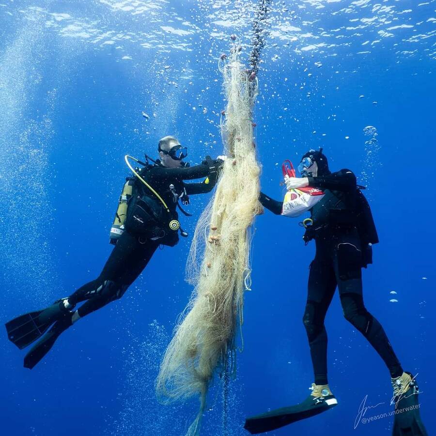Dive Against Debris