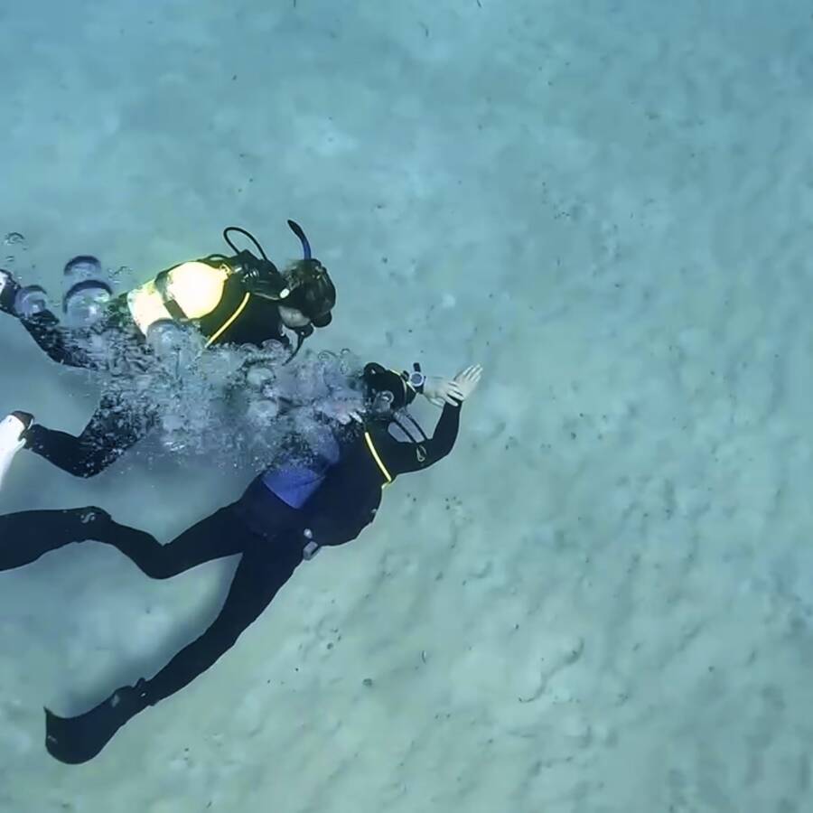 Open Water Diver Course